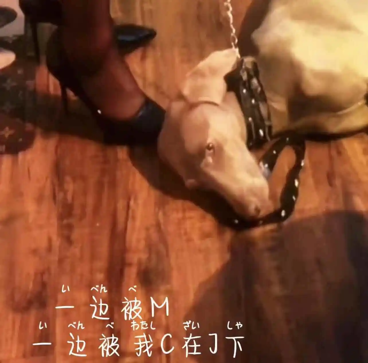 西檬之家Tickle是什么?在字母圈中它的意义与实践解析 一