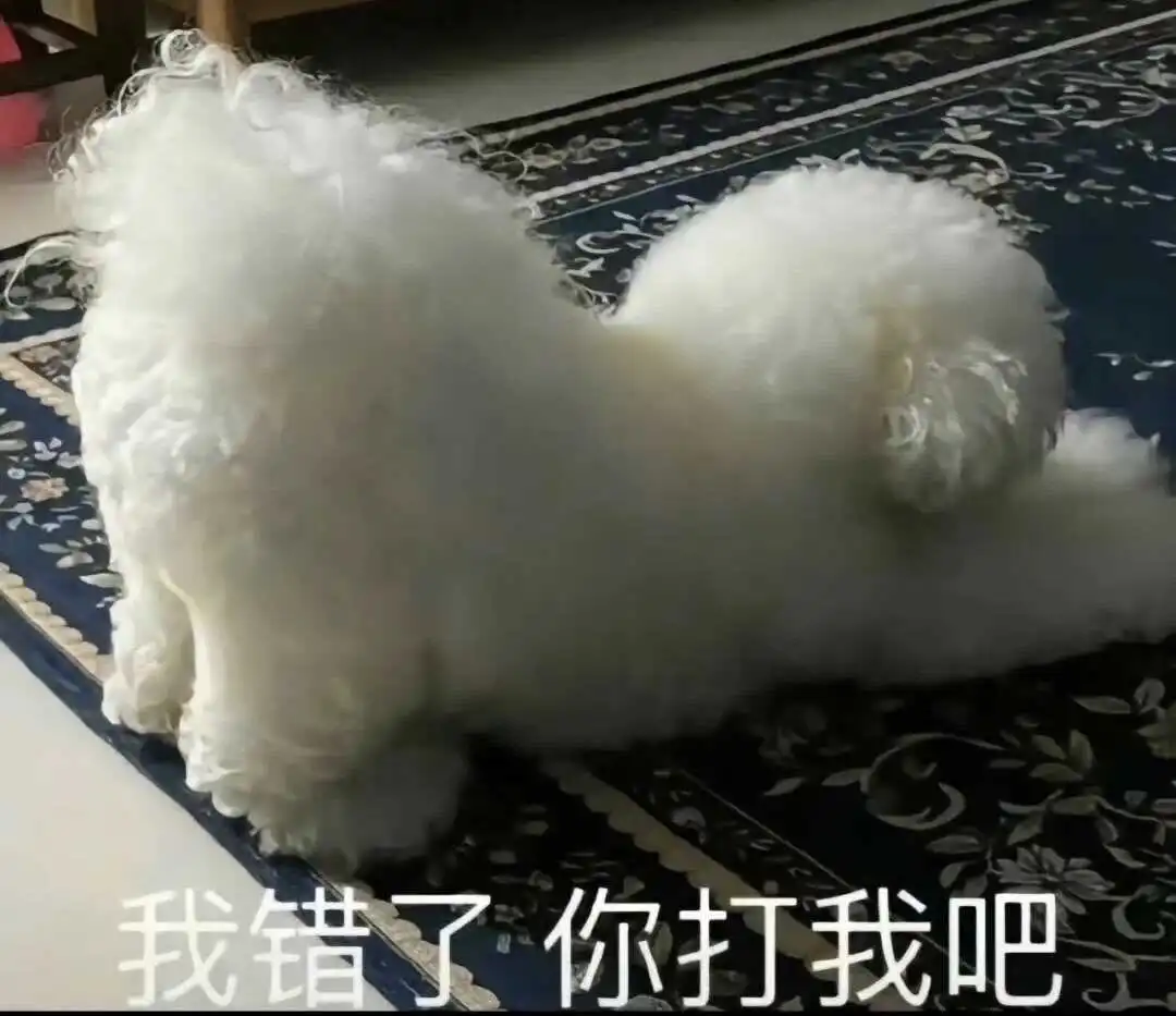 斯慕之家斯慕圈的魅力与秘密,你了解多少? 一