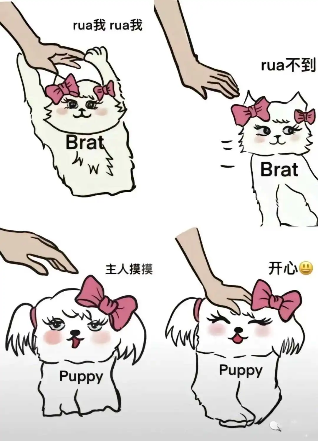 西檬之家sub是什么?揭开字母圈中臣服者的秘密 一