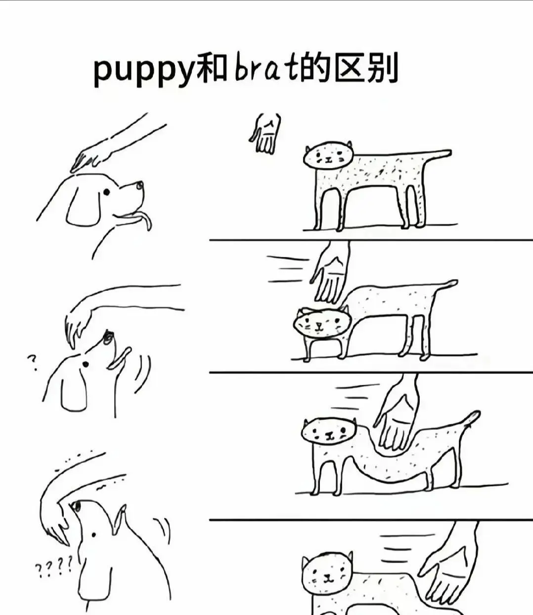西檬之家字母圈中的管教角色解析与实践指南 一