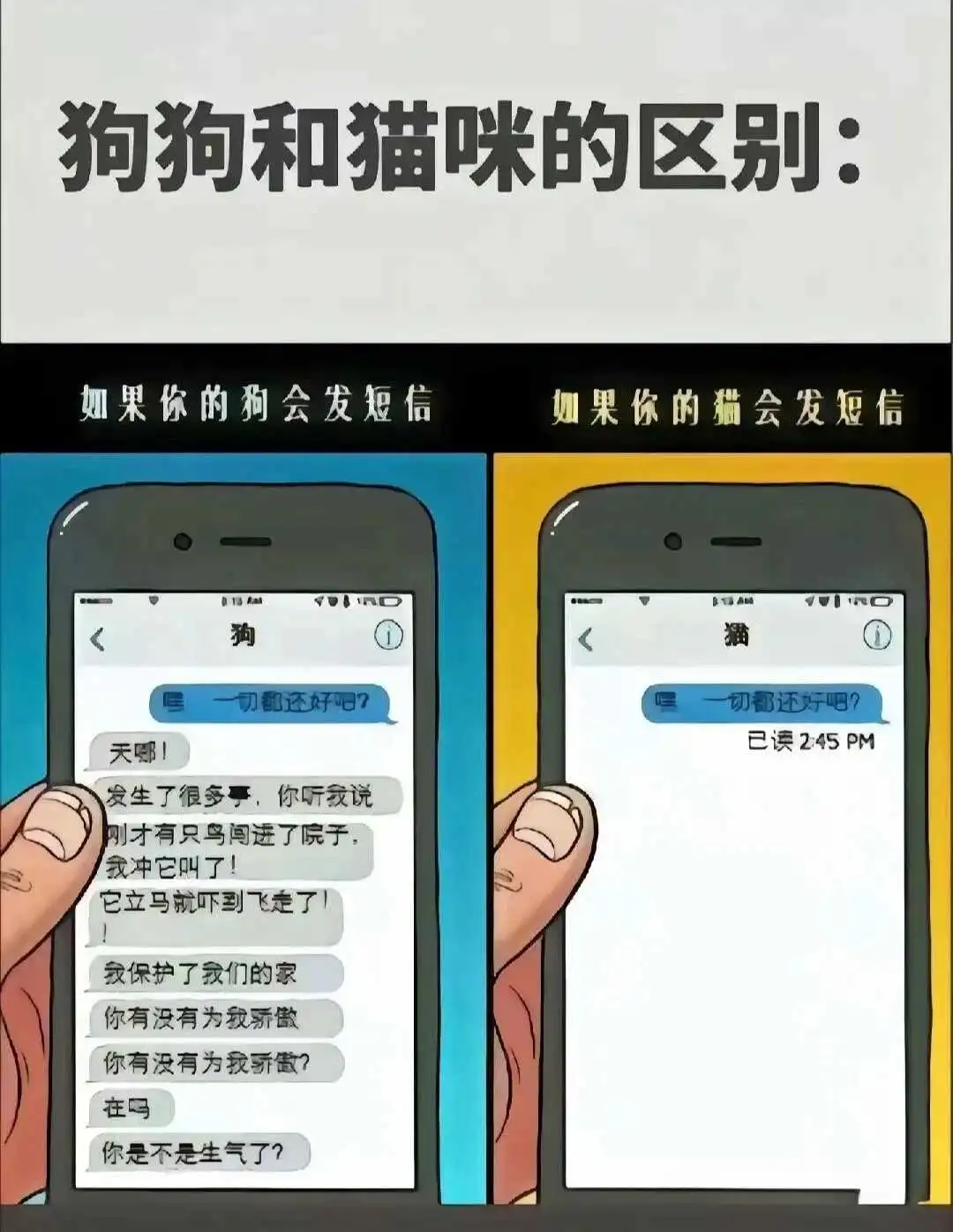 西檬之家恋足癖是什么?2025年字母圈新人必看 一