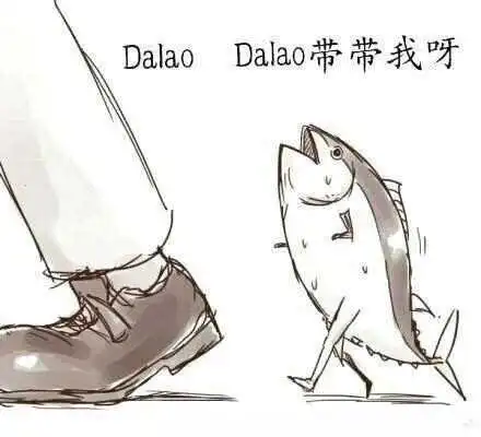 西檬之家字母圈DT是什么意思? 一