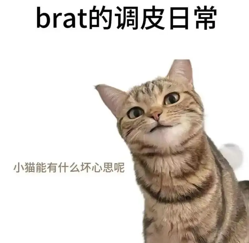 西檬之家字母圈Dom的真正含义 一